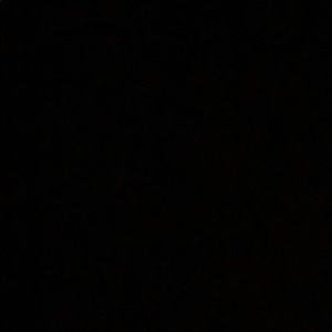 Meet your Posher, Maya